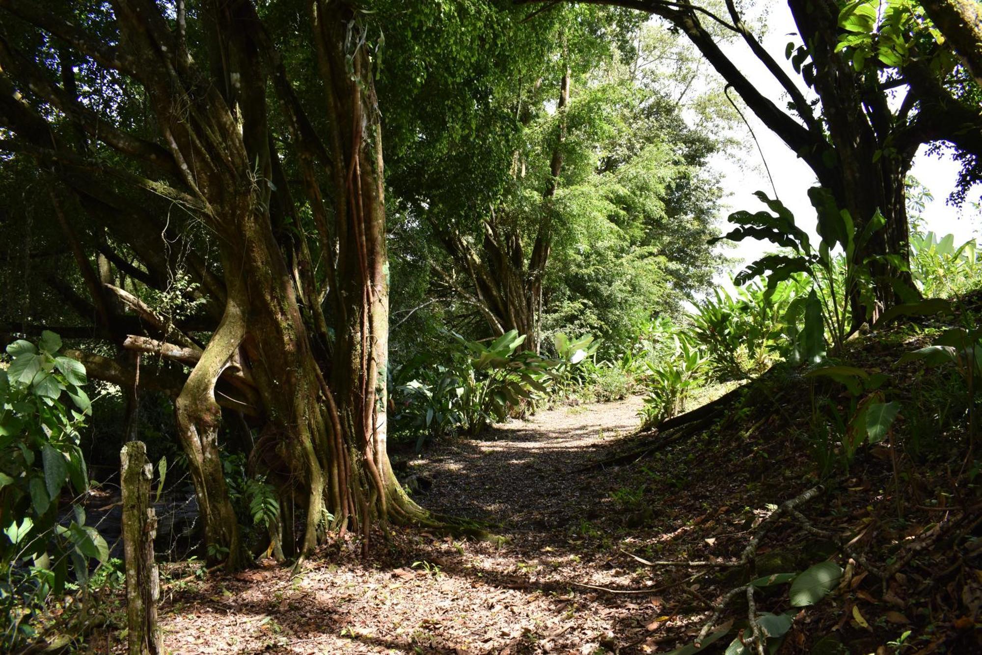 Hotel Arenal Country Inn La Fortuna Zewnętrze zdjęcie