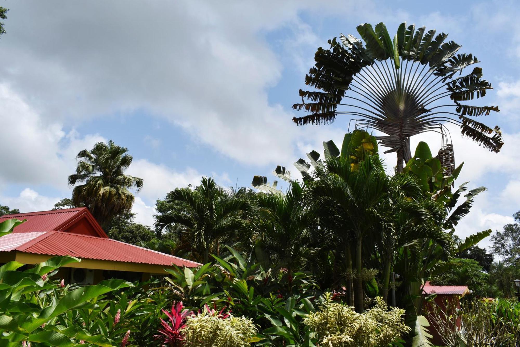 Hotel Arenal Country Inn La Fortuna Zewnętrze zdjęcie