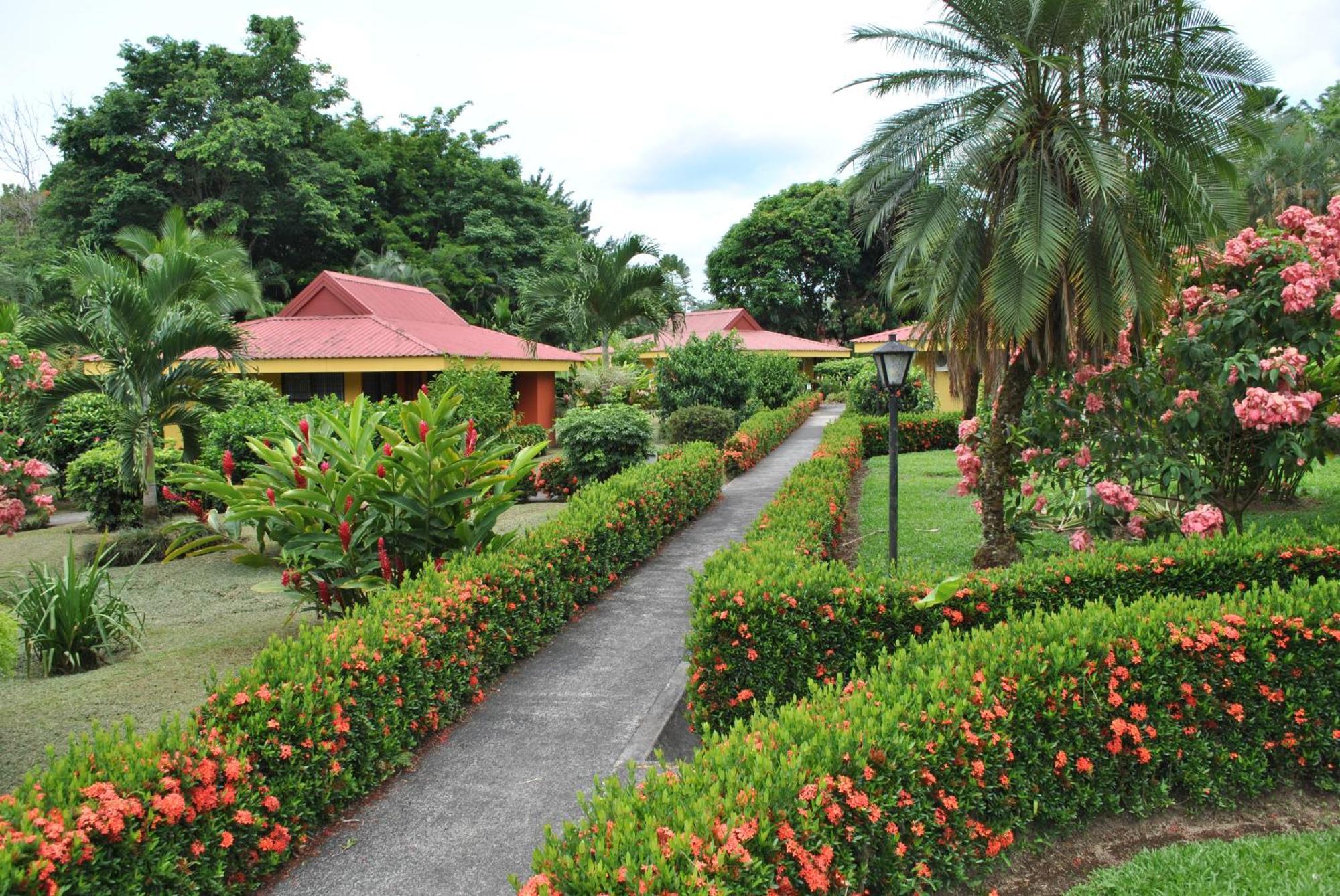 Hotel Arenal Country Inn La Fortuna Zewnętrze zdjęcie