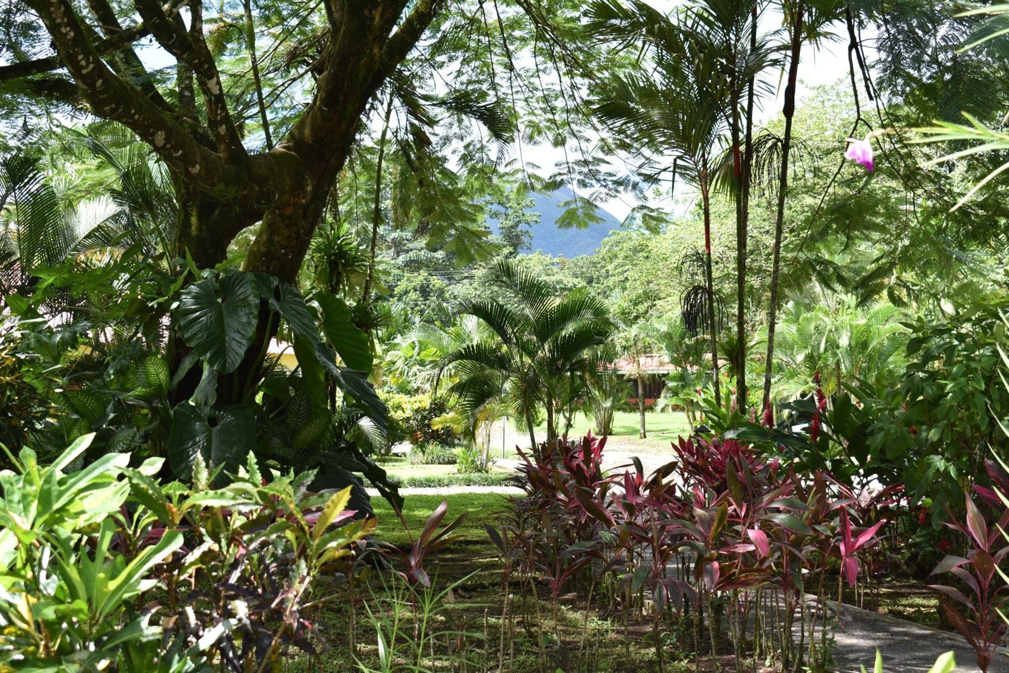 Hotel Arenal Country Inn La Fortuna Zewnętrze zdjęcie